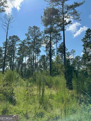 2470 Fears, Madison, GA 30650