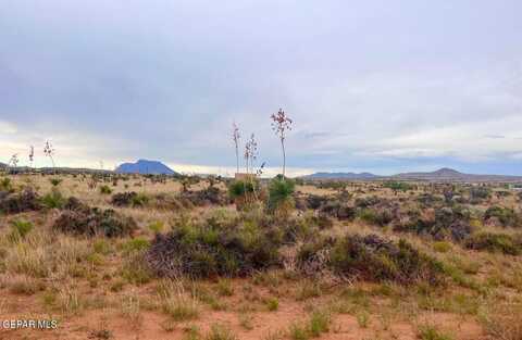 undefined, Sierra Blanca, TX 79851