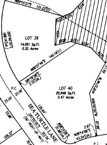 Lot 39 SEA TURTLE Lane, Waverly, GA 31565