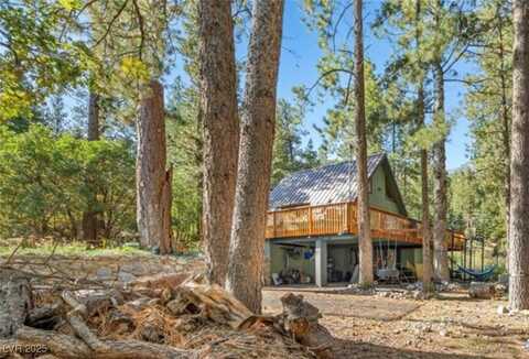 223 Rainbow Canyon Boulevard, Mt Charleston, NV 89124