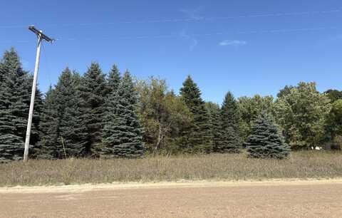 V/L 22 1/2 W 22 1/2 Road, Mesick, MI 49668