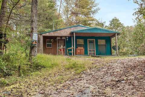 4509 Raven View Road, Del Rio, TN 37727