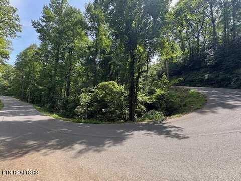Lot 76 Luzerne Drive, Gatlinburg, TN 37738