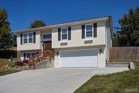 19 Concord Drive, Crystal City, MO 63019