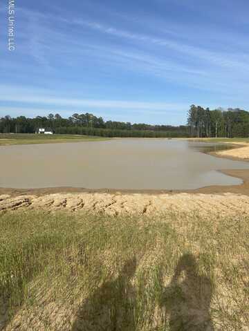 Freedom Farms Crossing, Brandon, MS 39047