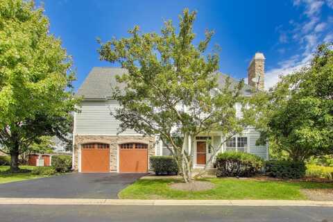 20481 N audrey Lane, Deer Park, IL 60010