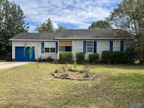 113 Quiet Lane, Hazel Green, AL 35750