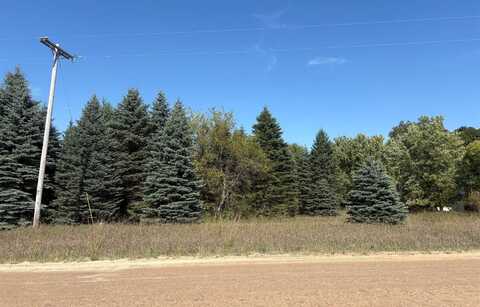 V/L 22 1/2 RD, Mesick, MI 49668