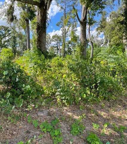 3630 NW 141 CR, Jennings, FL 32053