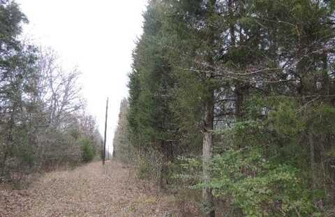 Tbd County Road 4455, Point, TX 75472