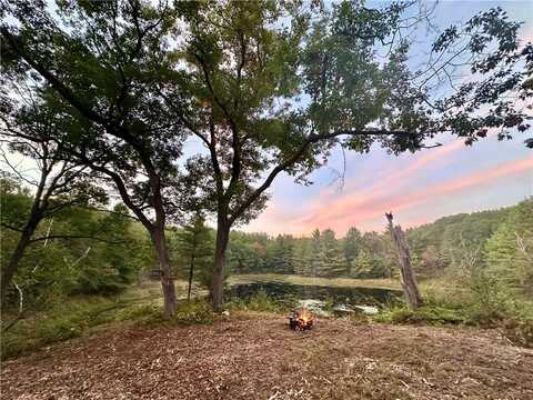 16.43 Acres Antler Lake Drive, Milltown, WI 54858