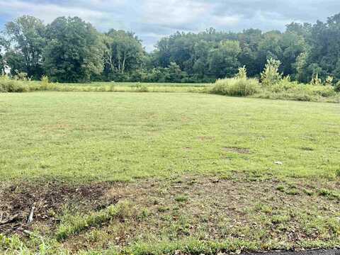 Magnolia, Tiptonville, TN 38079