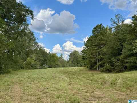 0 HIGHWAY 48, LINEVILLE, AL 36266