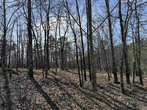 TBD Sangster Lane, Hot Springs, AR 71901