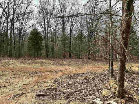 Lot 5 Raby Road, Harrisburg, AR 72432