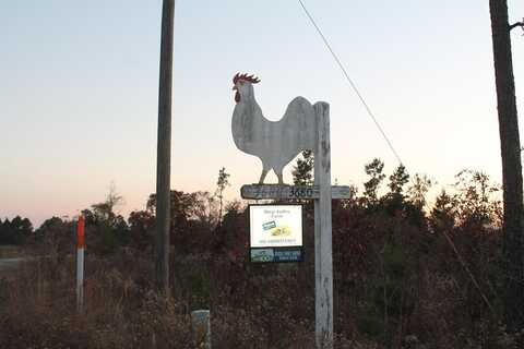 3680 Jackson Road, Roberta, GA 31078