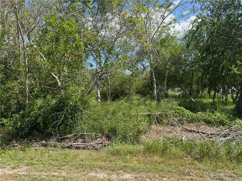 543 W Verbina Street, Taft, TX 78390
