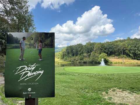 36 Bee Tree Point Court, Lake Lure, NC 28746