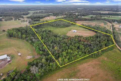 650 Grady Garner Road, Slocomb, AL 36375