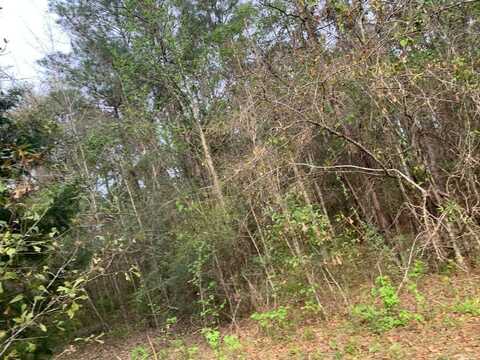 Xxx Works Road, Caryville, FL 32427