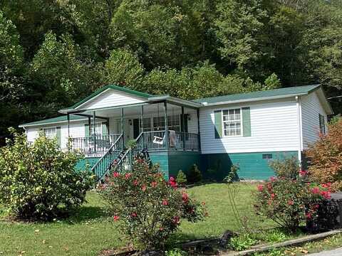 1635 R A WEST HWY, Delbarton, WV 25670