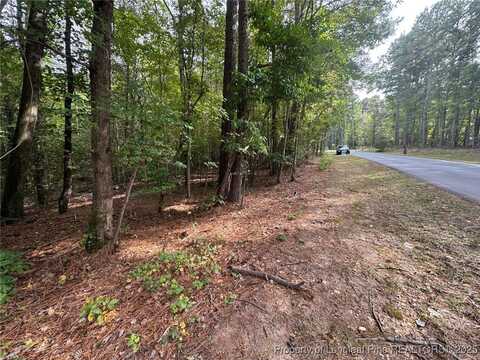 Hilltop Road lot: 94, 95, 120, Sanford, NC 27330