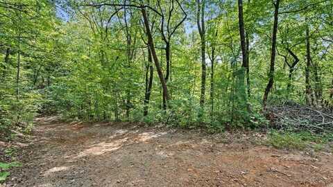 23 B Lake View Road, Cherry Log, GA 30522