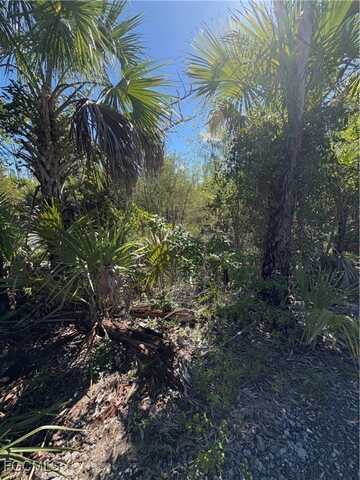 LE BUFF Road, Naples, FL 34114