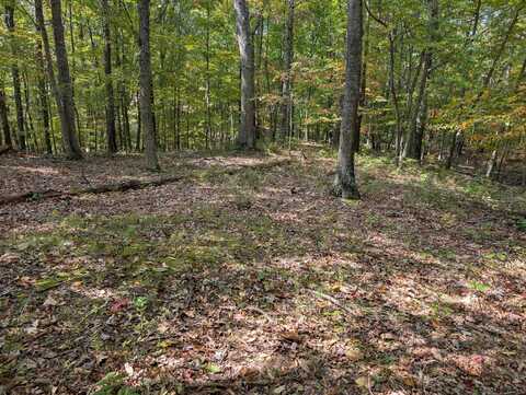 Lot 90 Overlook, Caldwell, WV 24925