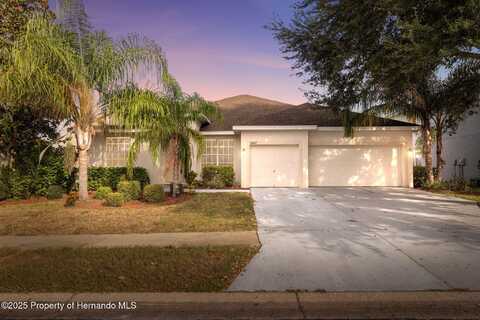 14027 Bensbrook Drive, Spring Hill, FL 34609