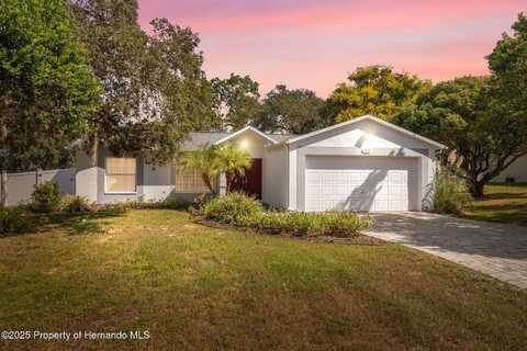 13213 Little Farms Drive, Spring Hill, FL 34609