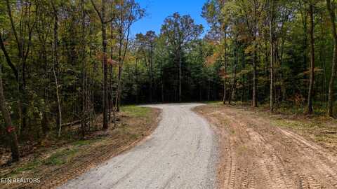 Nashville Ave, Deer Lodge, TN 37726
