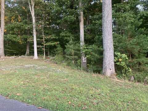 Lot 1223 Rebel Place, White Pine, TN 37890