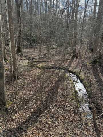 Lot 27 Pinnacle Vista Road, Gatlinburg, TN 37738