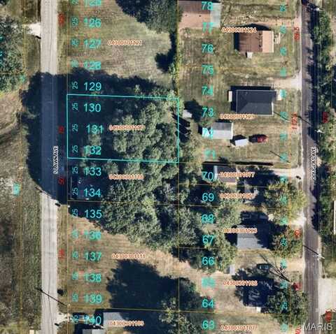 121 S Lawn Avenue, O'Fallon, IL 62269