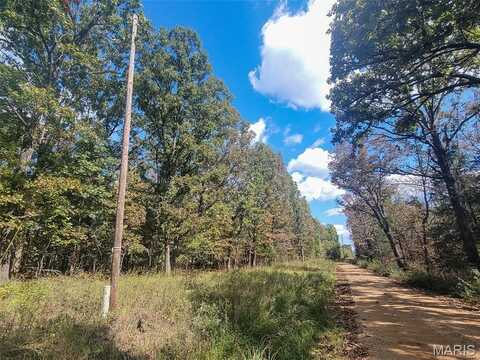 Off BCR 924, Patton, MO 63775