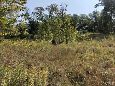 6752 Walnut Valley, High Ridge, MO 63049