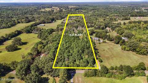 000 Wildcat Bottom Road, Red Banks, MS 38661