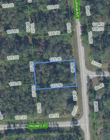 5119 LUENGA AVENUE, SEBRING, FL 33872