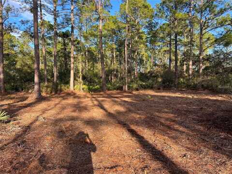 Tbd CHINABERRY WAY, EUSTIS, FL 32736