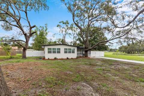 715 W BOUGAINVILLEA AVENUE, TAMPA, FL 33612