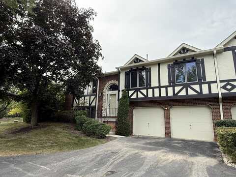 9204 Drummond Drive, Tinley Park, IL 60487