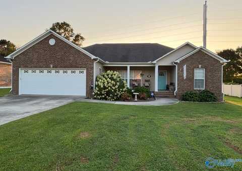 83 Lions Drive, Guntersville, AL 35976