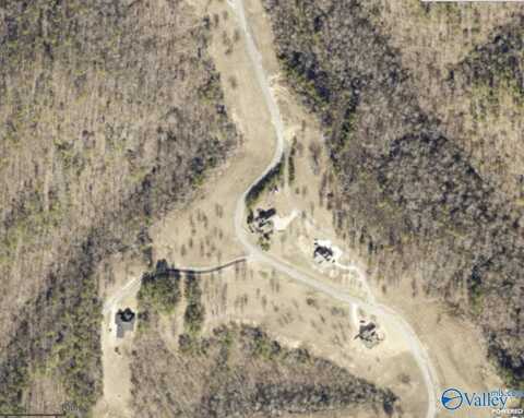 Lot 48 County Road 767, Cedar Bluff, AL 35959