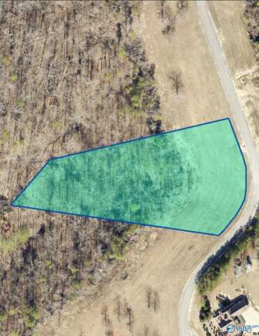 Lot 49 County Road 767, Cedar Bluff, AL 35959