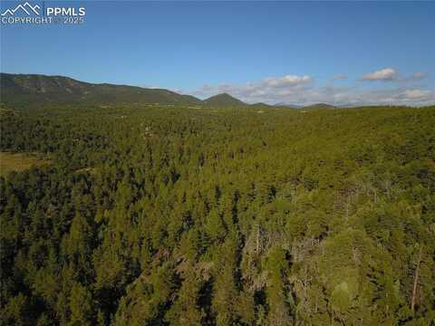 19s Old Crow Path, Canon City, CO 81212
