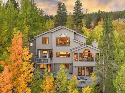 1139 BOREAS PASS ROAD, Breckenridge, CO 80424