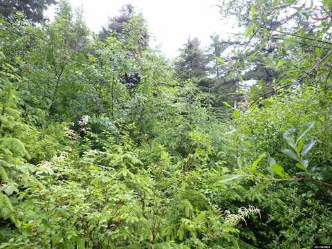 Lot 3c Killisnoo Road, Angoon, AK 99820