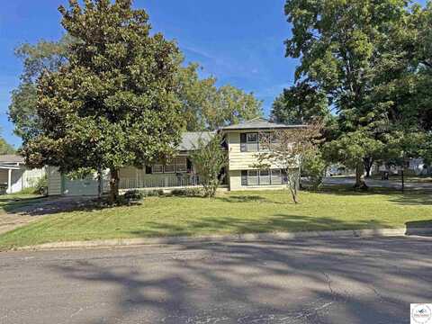 417 E Louise, Clinton, MO 64735