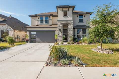 17429 Autumn Falls Drive, Manor, TX 78653